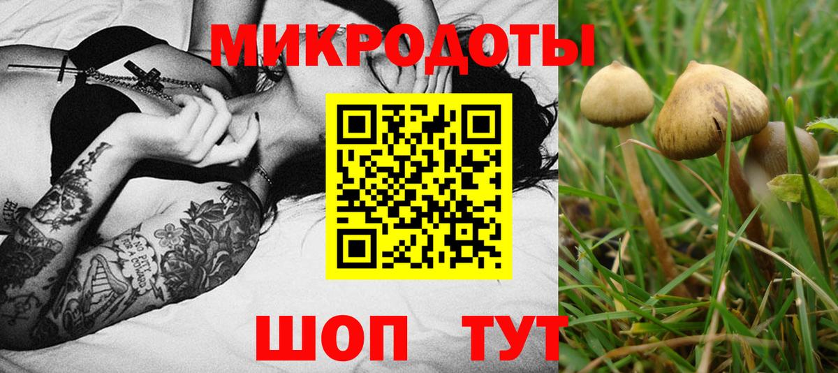 Галлюциногенные грибы Magic Shrooms  Вход с VPN  Тихорецк 